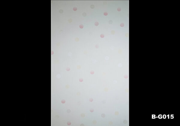 PAPEL TAPIZ MODELO B&G004